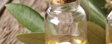 Olje čajevca – Tea Tree